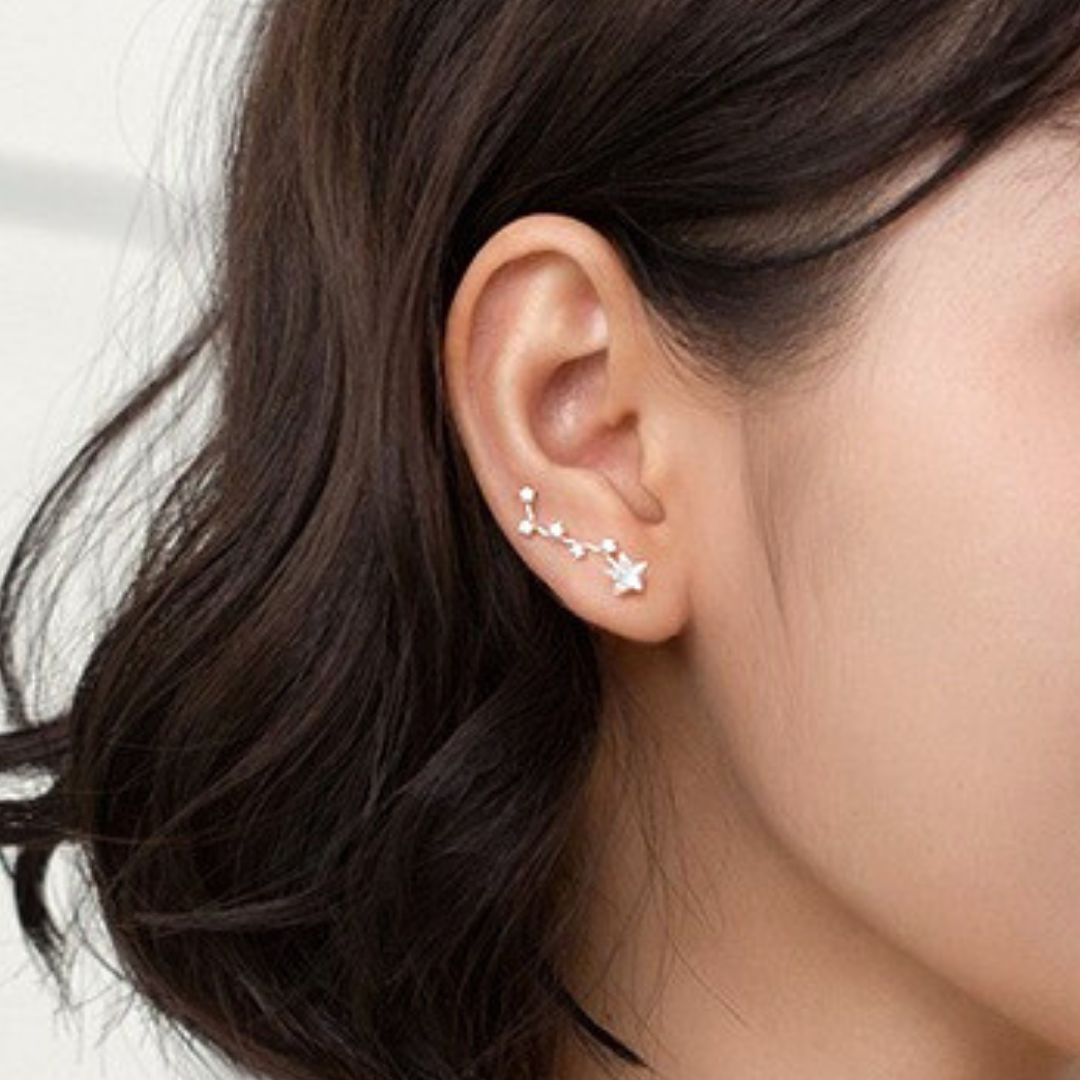 Carlotta Cosmos Earrings
