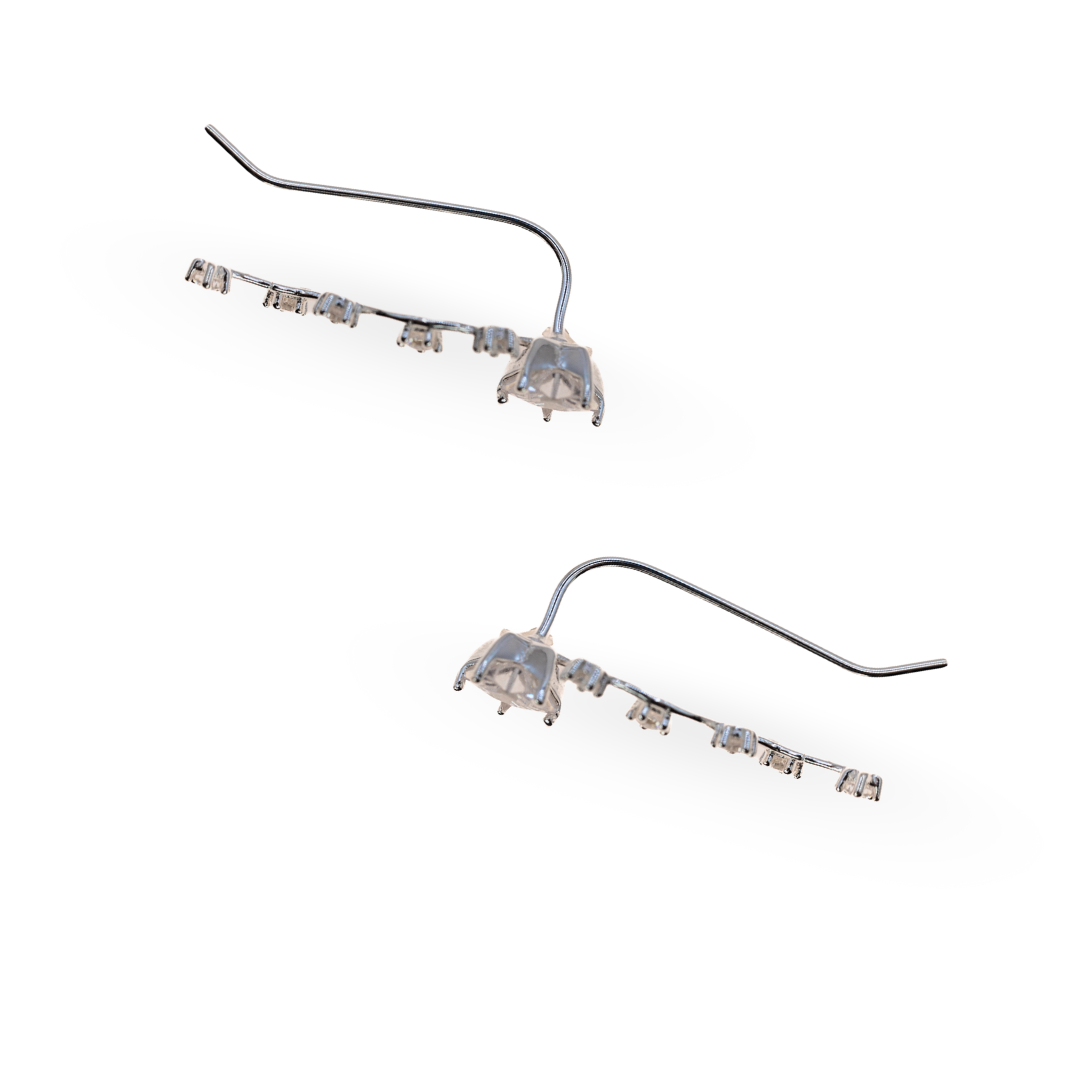 Carlotta Cosmos Earrings