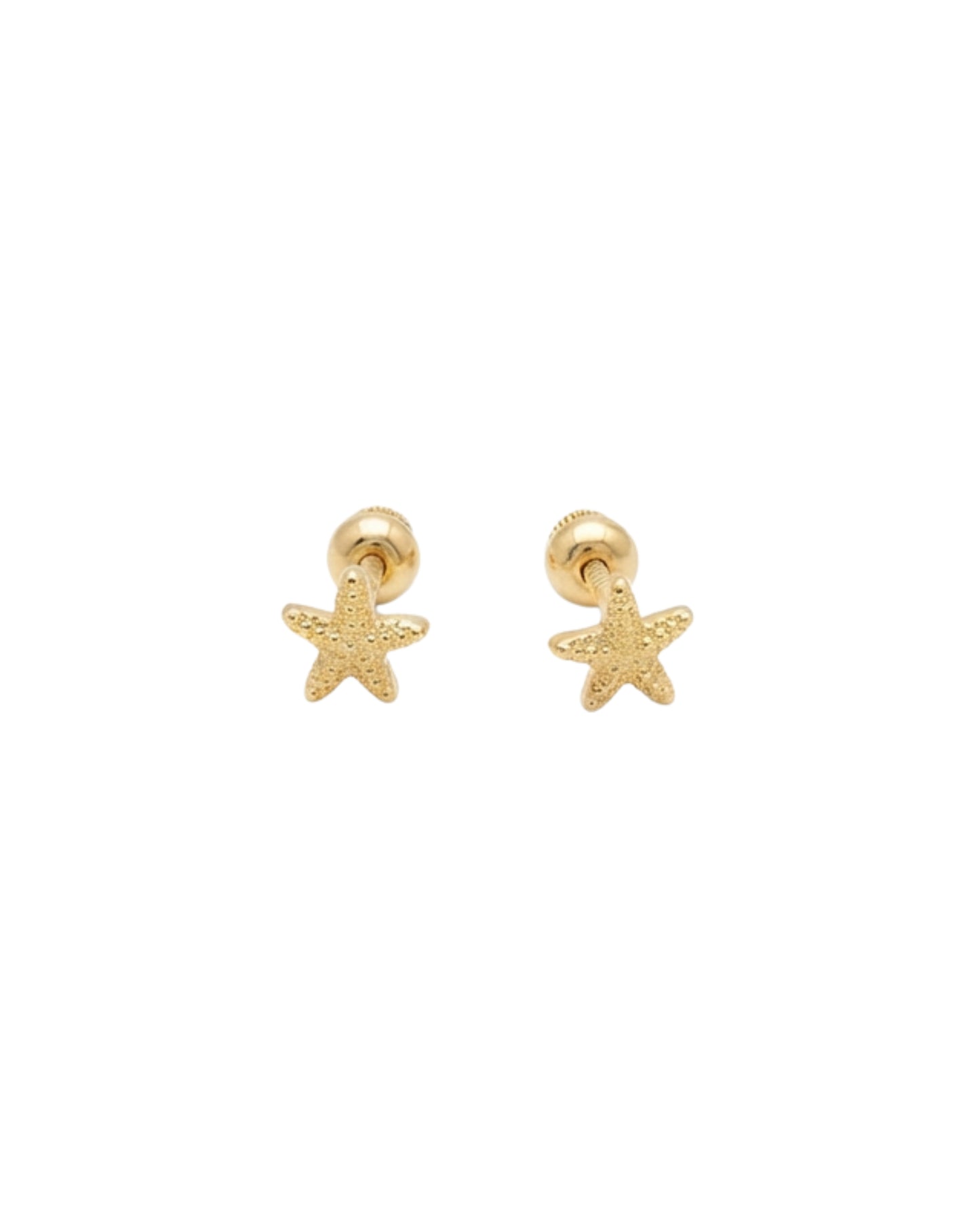 Broquel de Estrellita de Mar