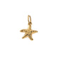 Dije Estrella de Mar