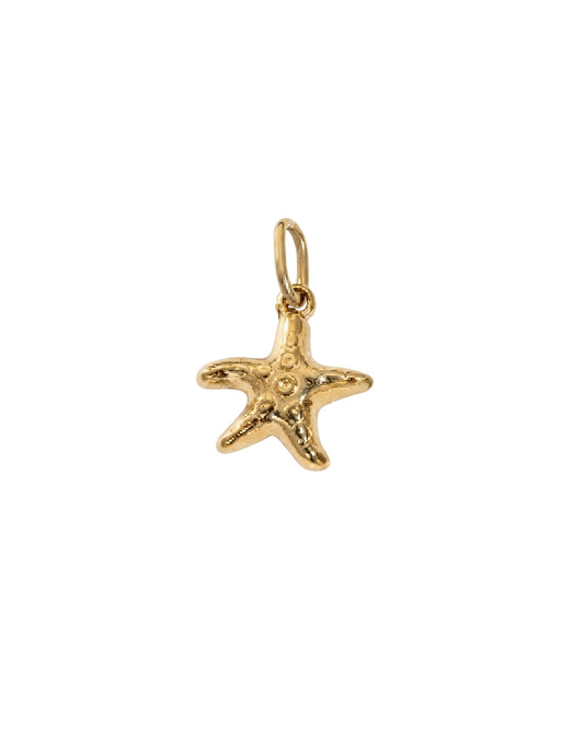 Dije Estrella de Mar