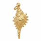 Dije en forma de caracola con relieve escultural