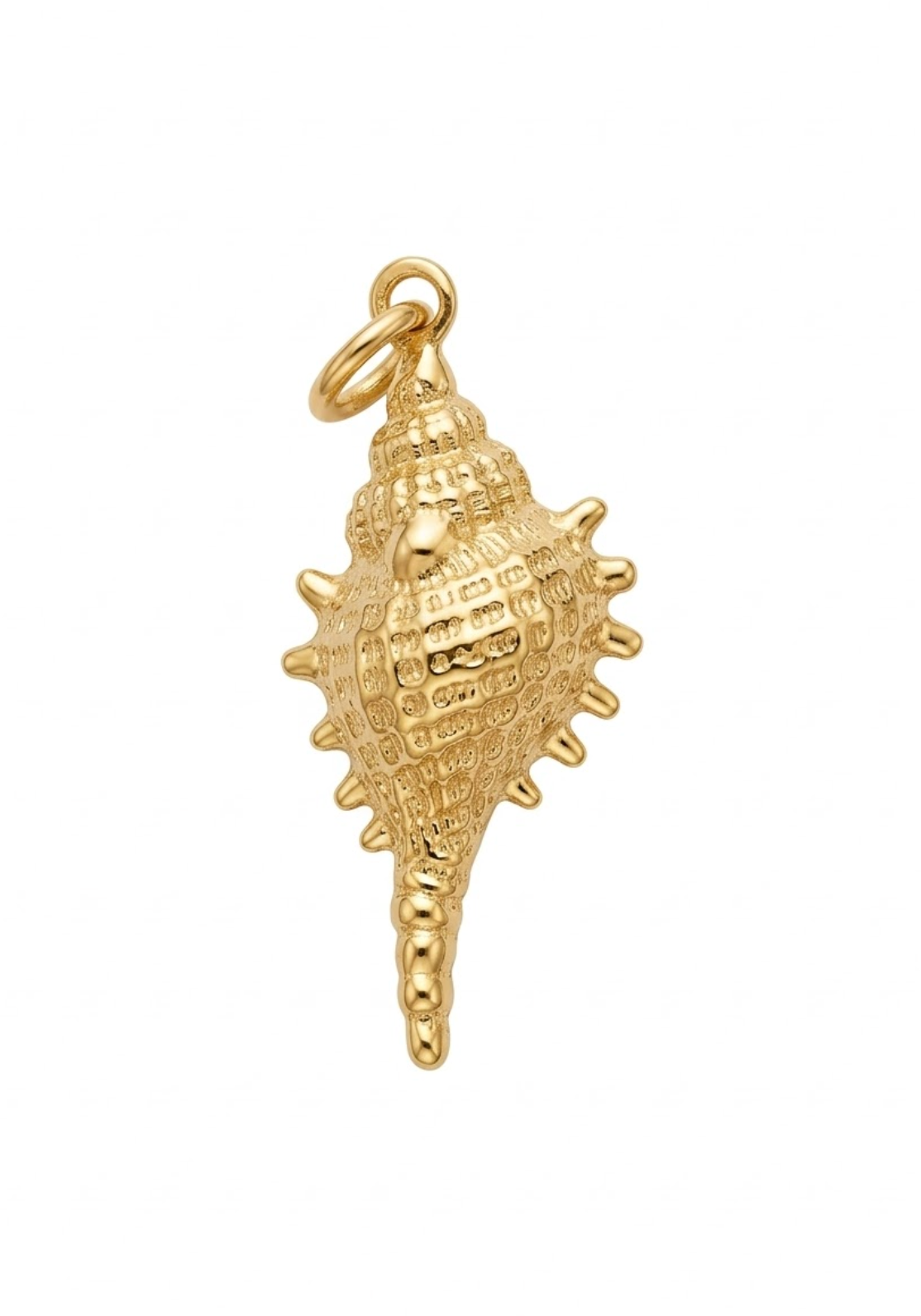 Dije en forma de caracola con relieve escultural