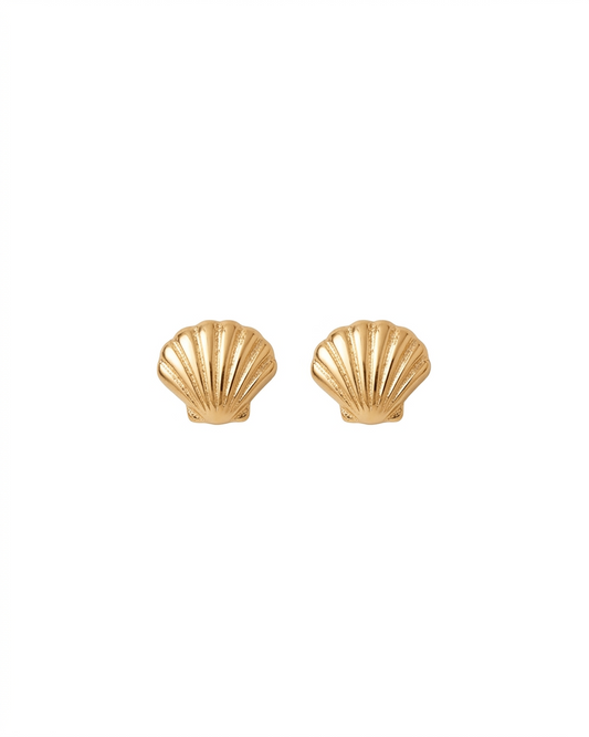 Arete tipo broquel de conchita de mar con textura en relieve en oro 10k