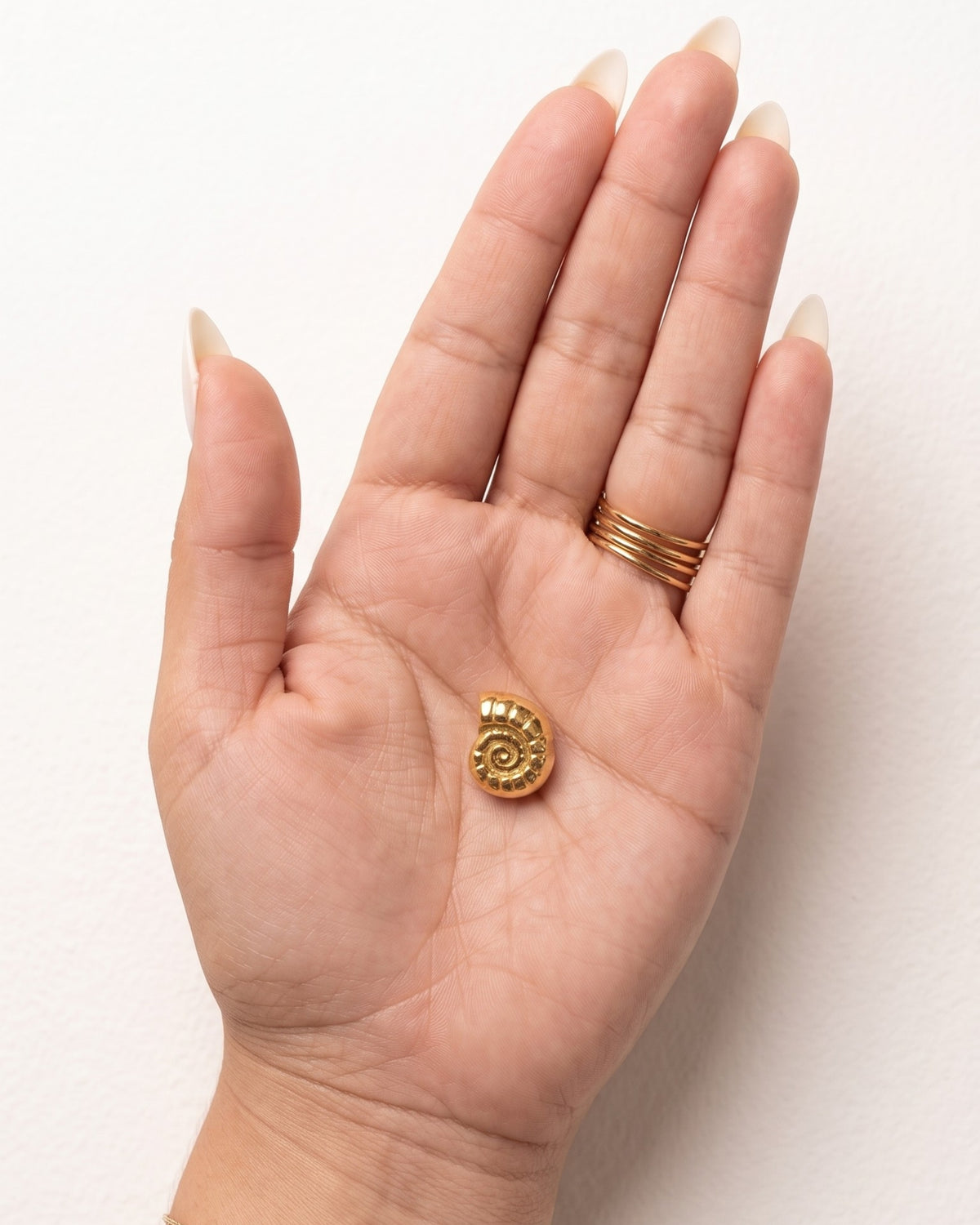 Dije Caracol Nautilo