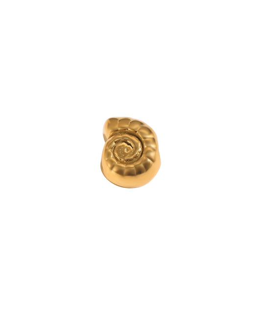 Dije Caracol Nautilo