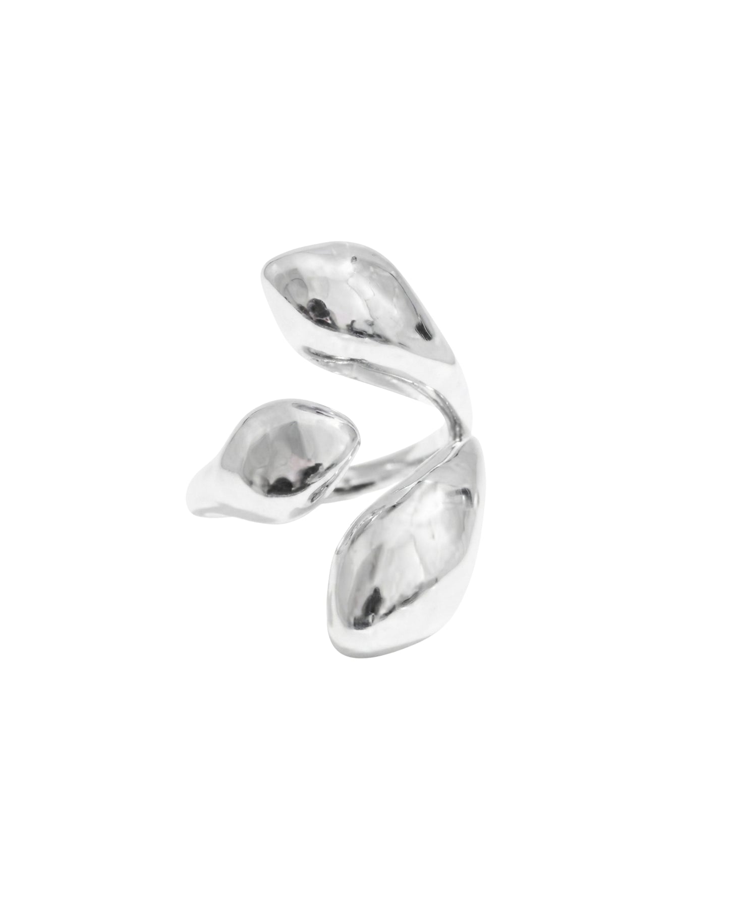 Anillo Tríada Fluida