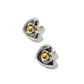 Aretes de Corazón Bicolor