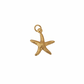 Dije de estrella de mar dorada con textura