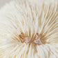 Broqueles de silueta de conejo con cristal ovalado en color oro rosa