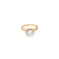 Anillo Pavé Solitaire