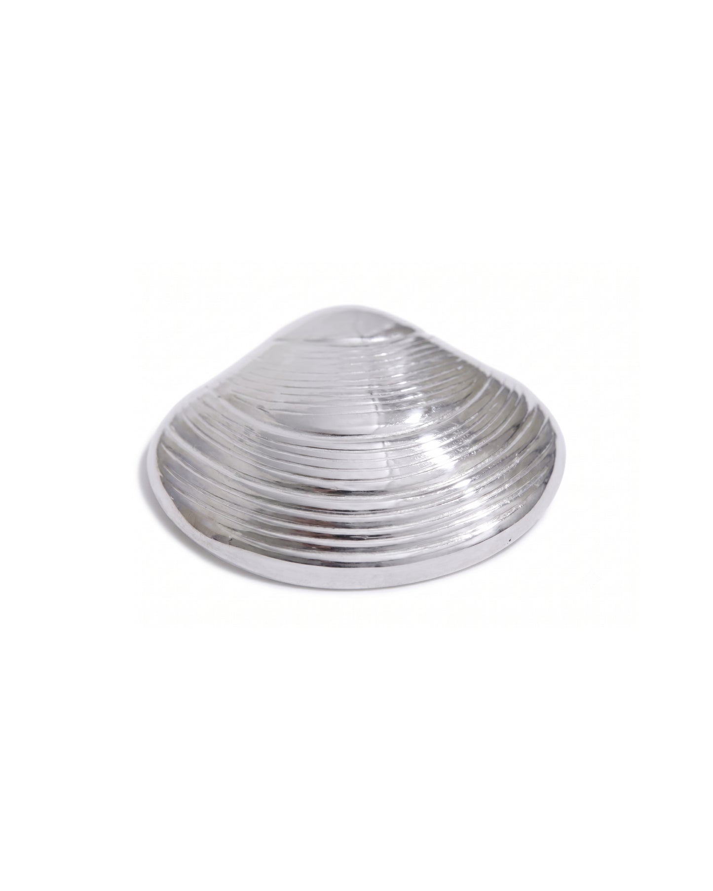 Broche Concha Ondas