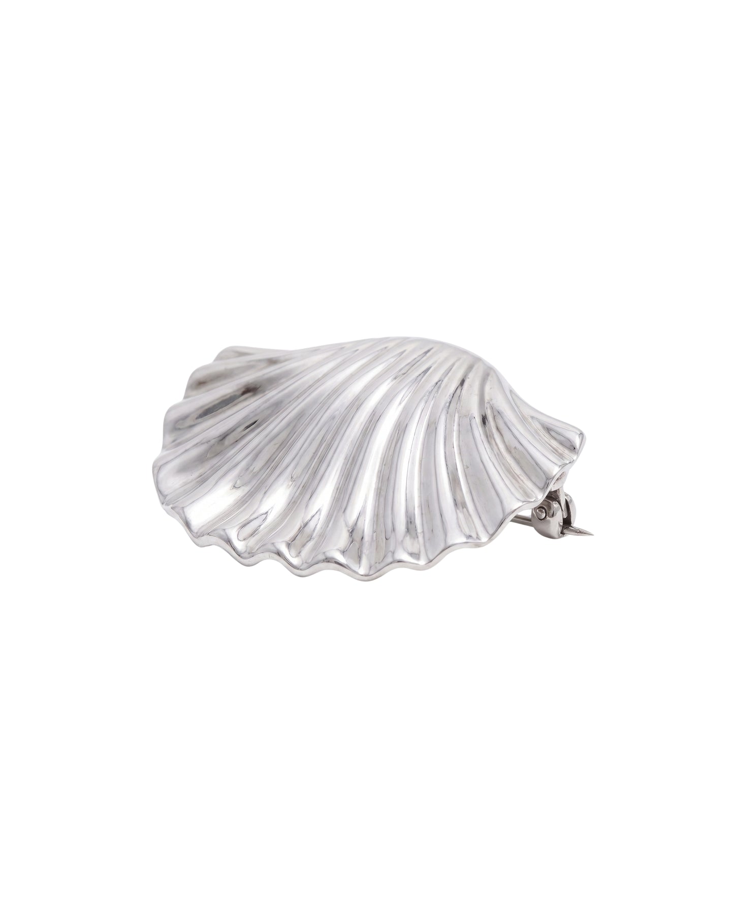 Broche Concha Plisada
