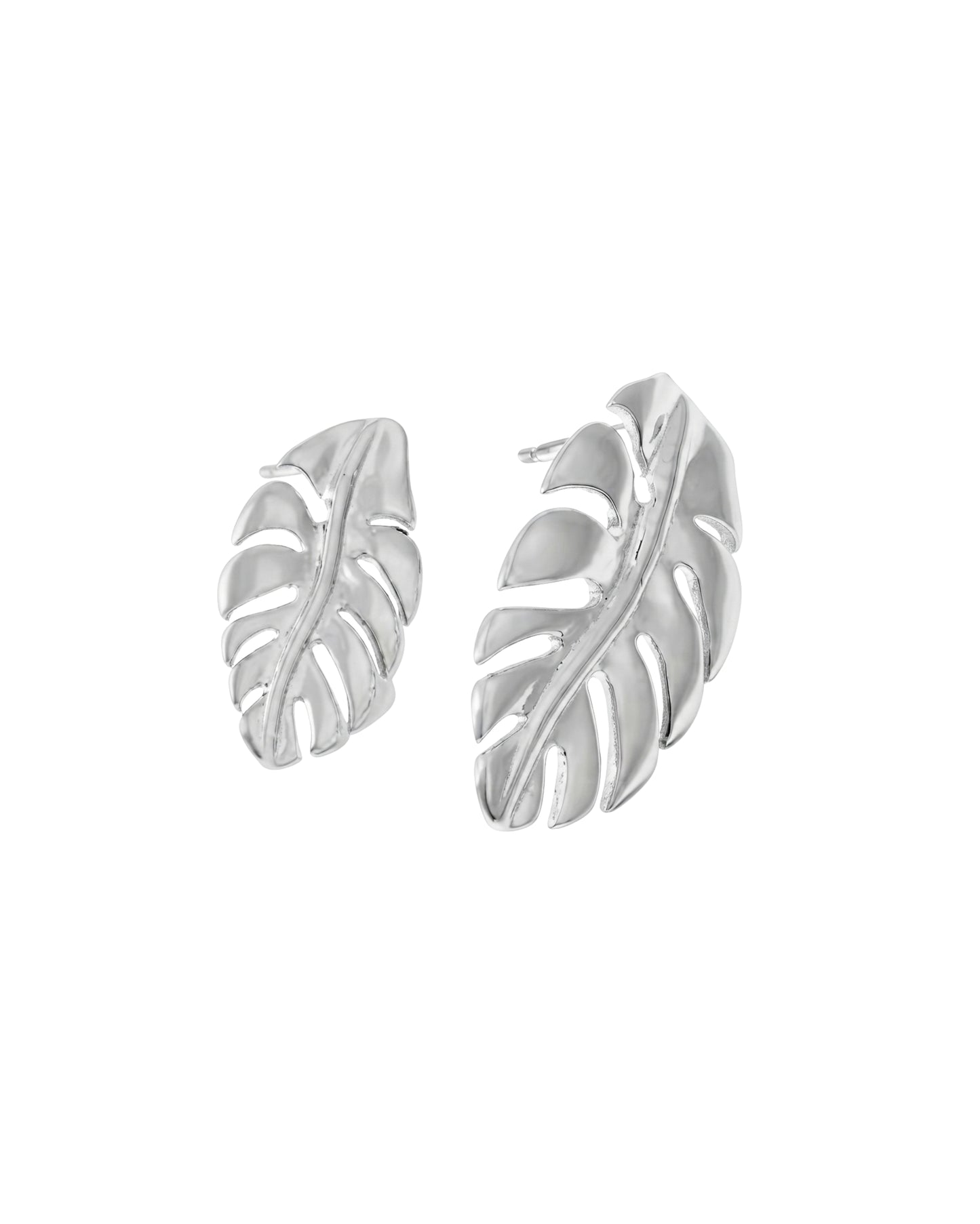 Aretes Hoja Monstera