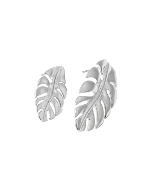 Aretes Hoja Monstera