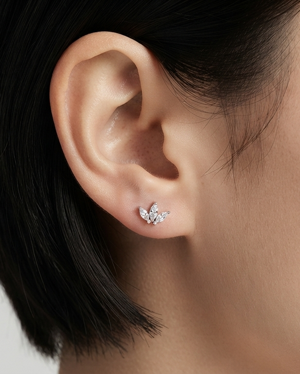 Aretes Studs Corona de Circonias Plateada
